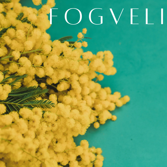 Wax Melts DREAMY - Mimosa, Mentă