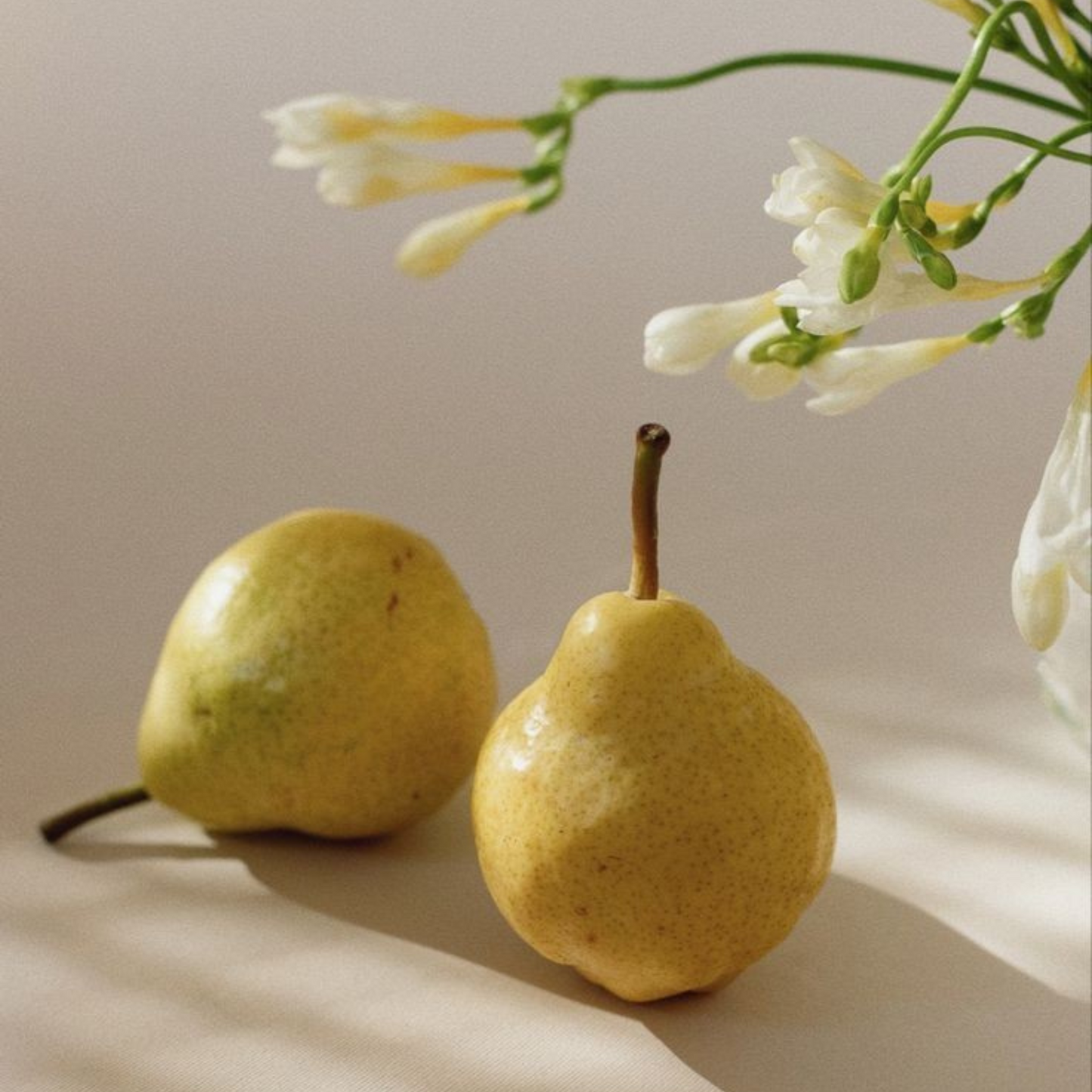 Wax Melts MUSE - Pere, Frezie