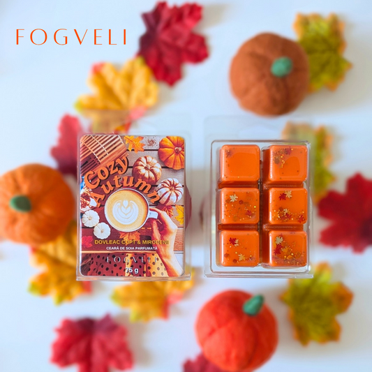 🎃Tabletă ceară parfumată COZY AUTUMN - Dovleac Copt, Mirodenii