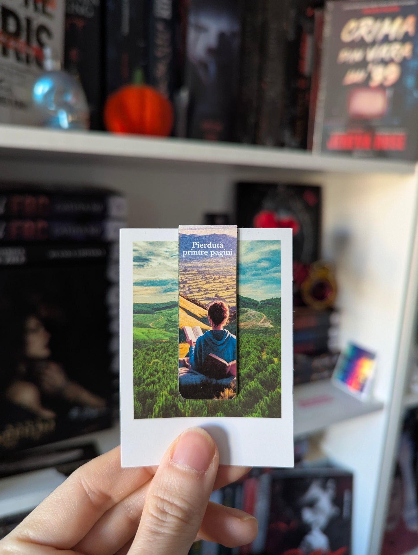 Semn de carte magnetic